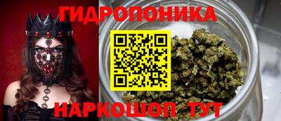 прущие грибы Бугуруслан