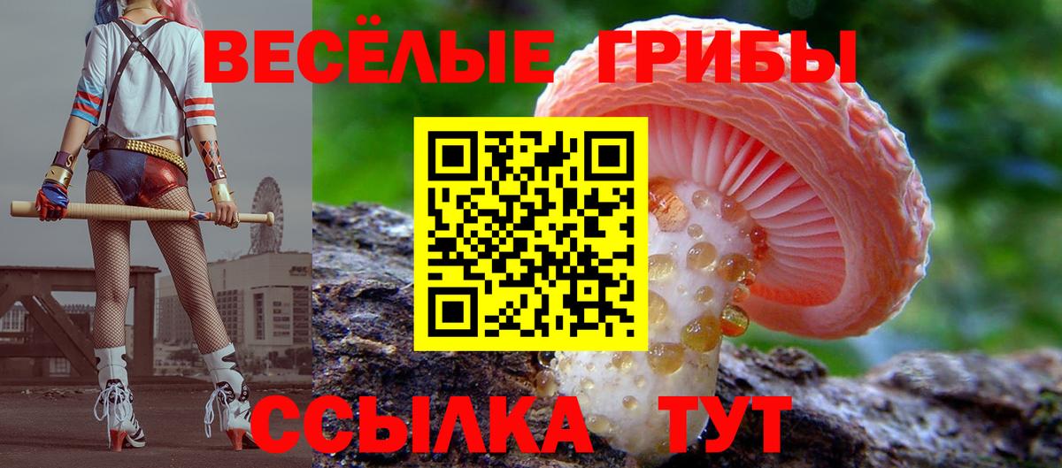Приморско-Ахтарск  Псилоцибиновые грибы Cubensis  Вход с VPN 